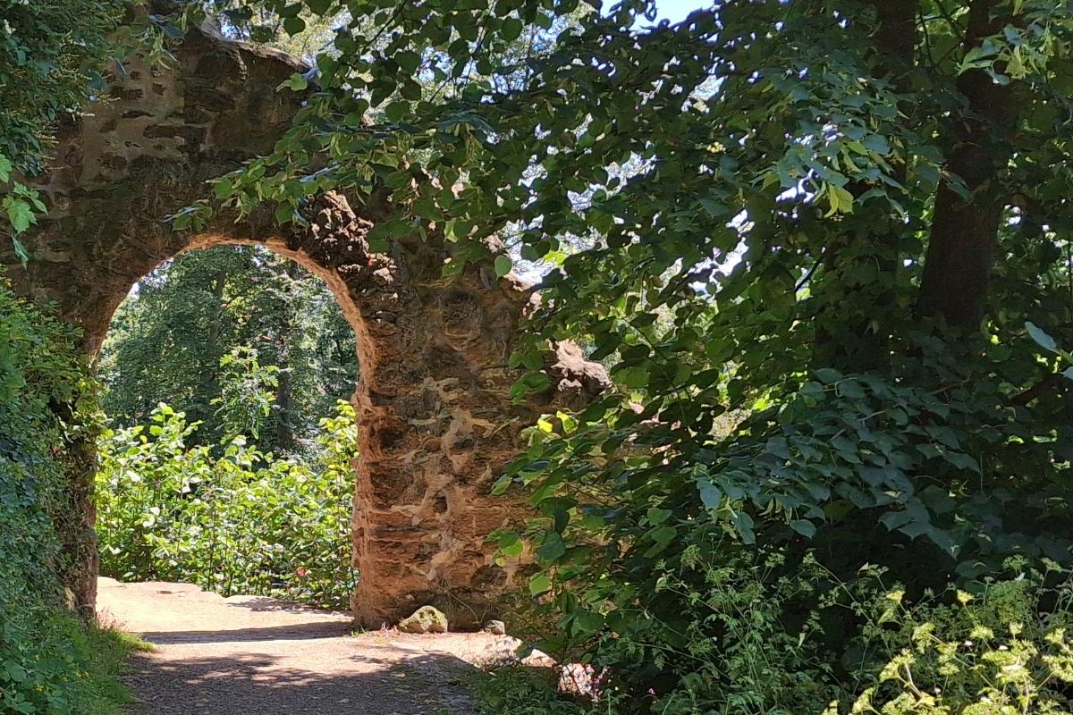 Rundweg auf dem Michaelsberg