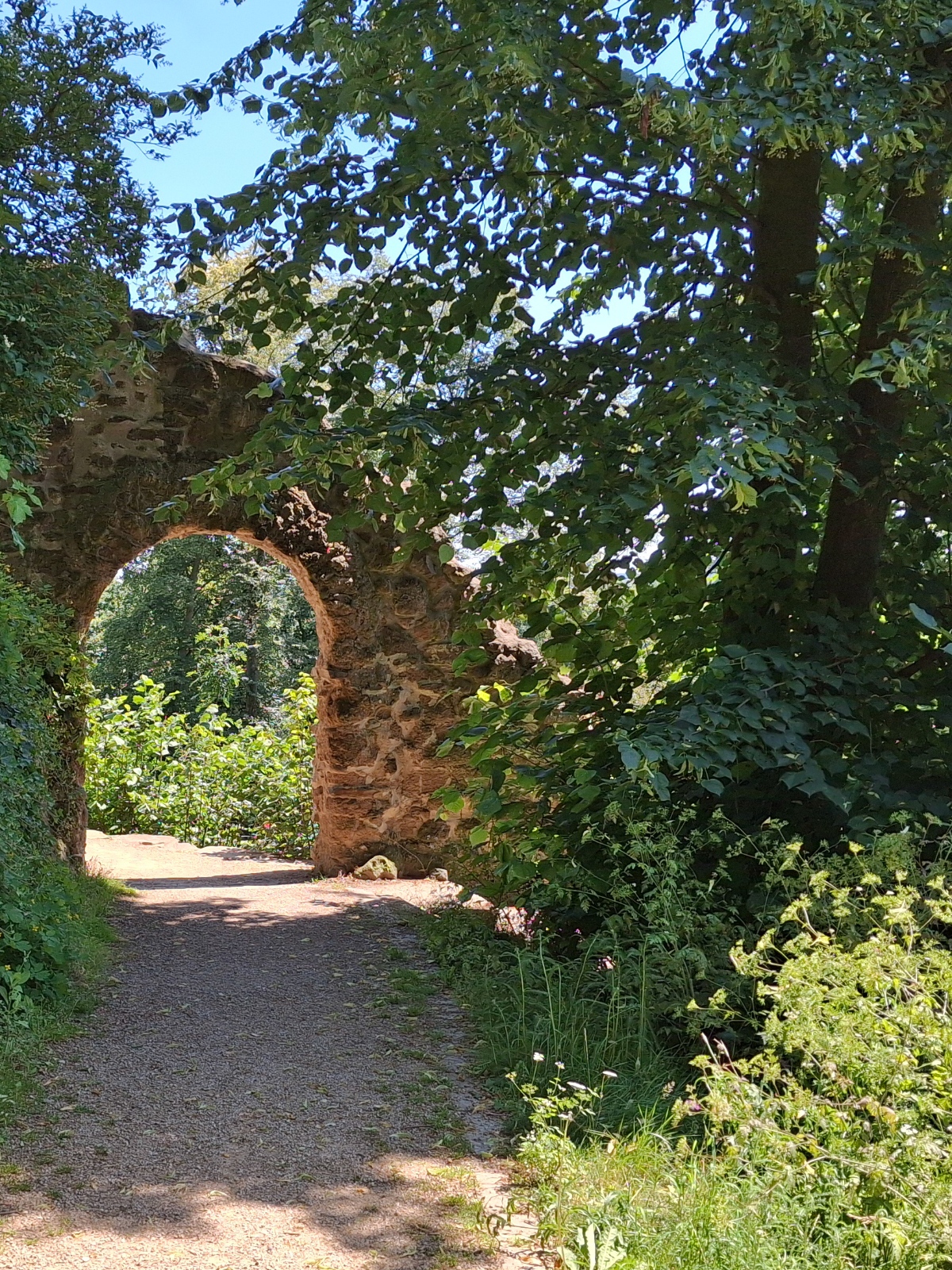 Rundweg auf dem Michaelsberg